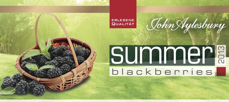Link zur John Aylesbury Sommeredition - summer blackberries 2013 im TABAK-KONTOR Onlineshop